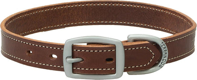 Weaver Leather Bridle Leather Dog Straight Collar Brown - Hooves and Paws