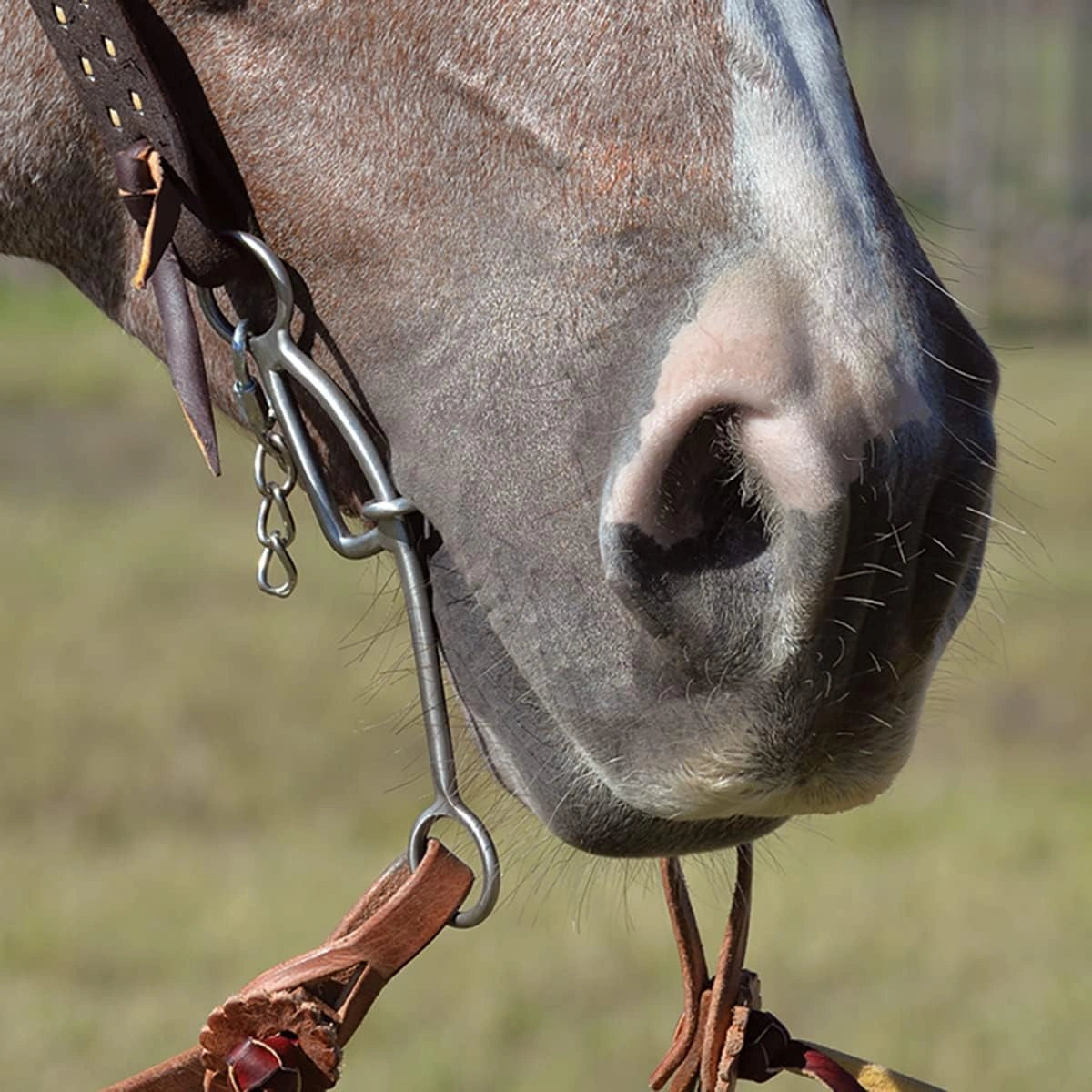 Classic Equine Les Vogt Shank Dog Bone Gag Bit - Thumbnail 3