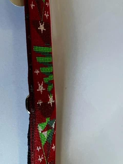 Dog Leash Lupine Pet Lifetime 6 Foot Lead 3/4" or 1" Puppy Original Designs