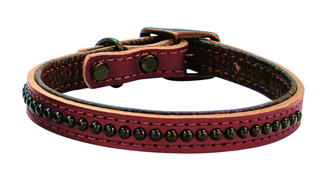Weaver Leather Outlaw Dog Collar - Golden Brown Single-Ply Harness Leather with Black Dots & Wheat Stitching