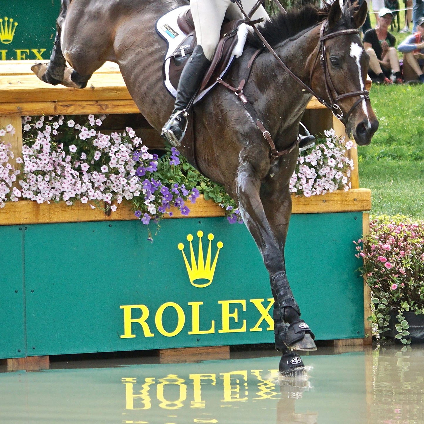 Professional's Choice Pro Performance Elite XC Boots | Front Pair | Medium