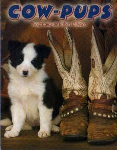 Leanin Tree 12 Note Cards - Hooves and Paws