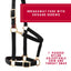 Weaver Leather Breakaway Halter - Padded Crown Safety Release