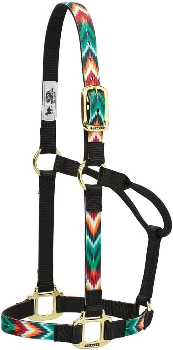 Weaver Leather Double-Ply Nylon Halter - Rolled Throat & Brass Hardware