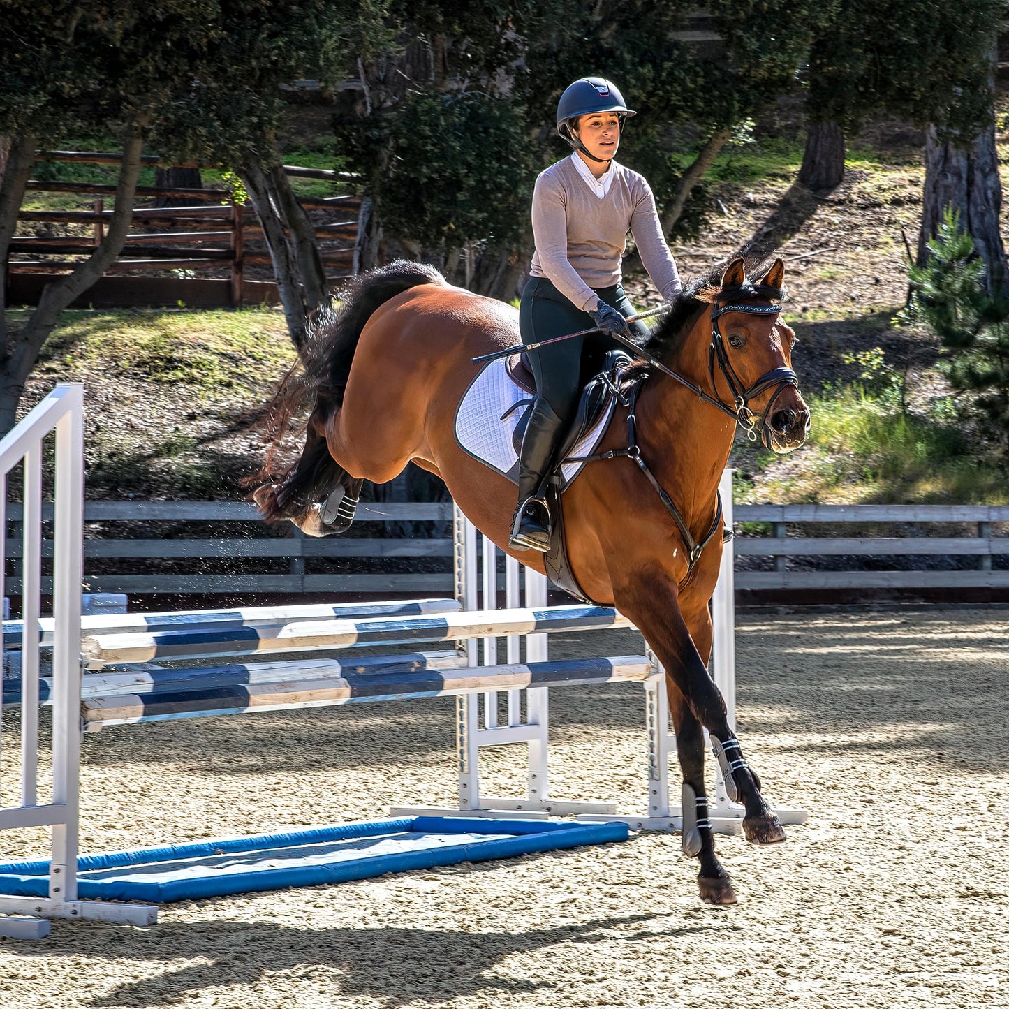 Professional's Choice Jump Pad with VenTECH Lining - Contoured Breathable Moisture-Wicking Saddle Pad