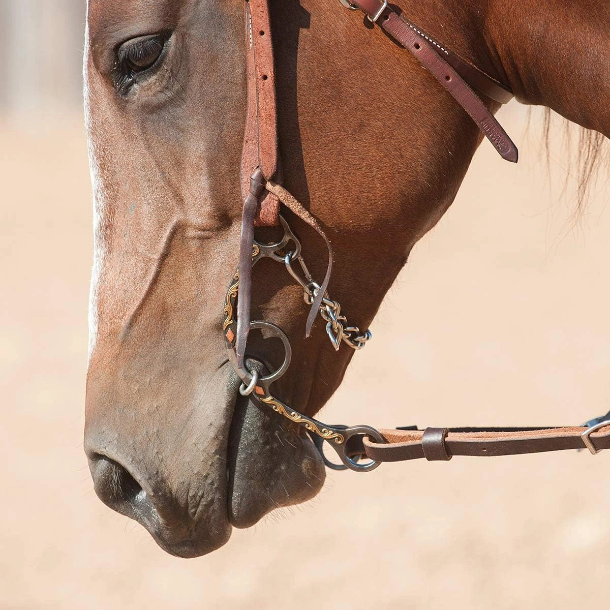 Classic Equine Sherry Cervi Barrel Bit - Long Shank Dogbone Mouthpiece - Professional Barrel Racing Horse Bit