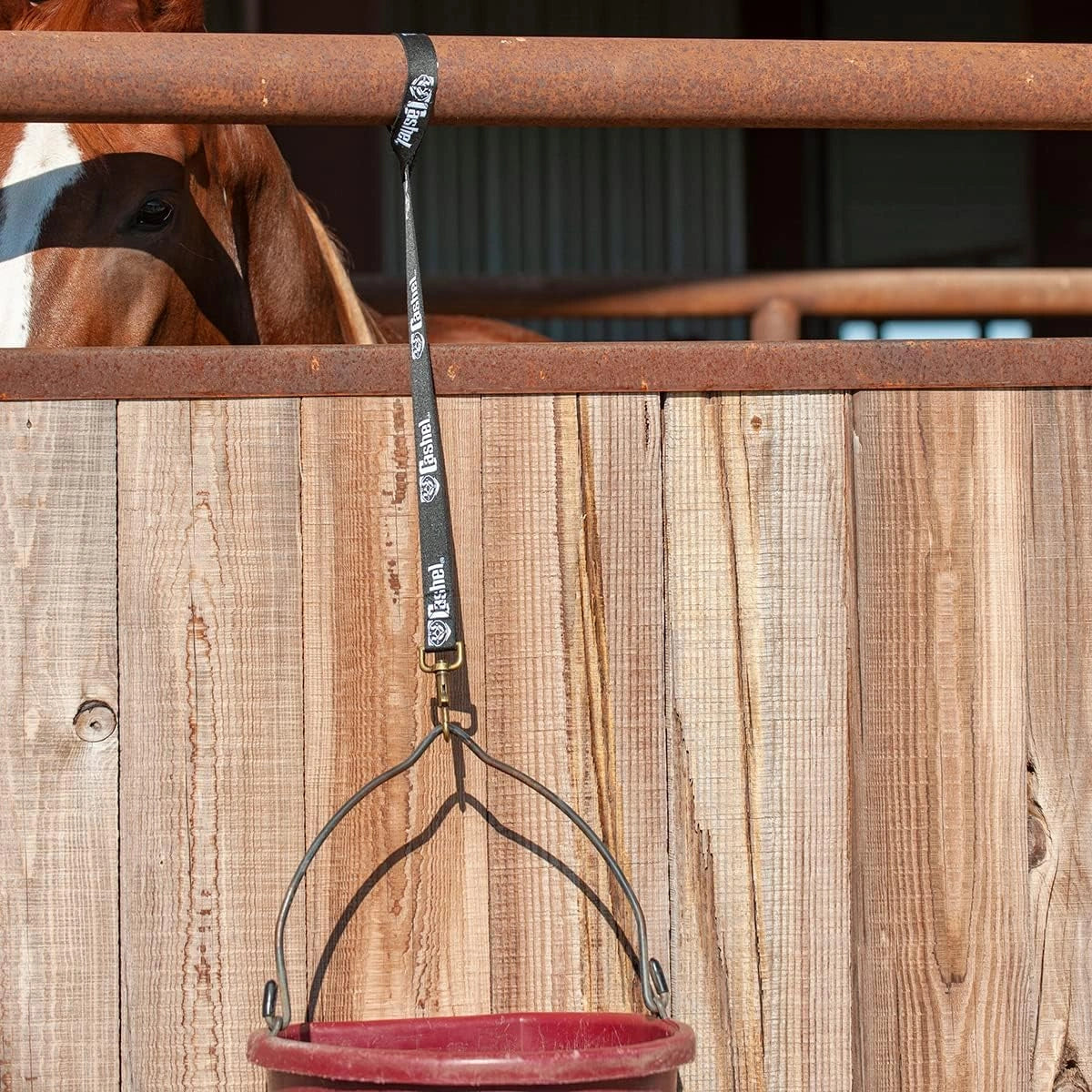 Cashel Loop - De - Loo, Feed Water Bucket Hanging Buckle Strap, Nylon Horse Tack - Hooves and Paws