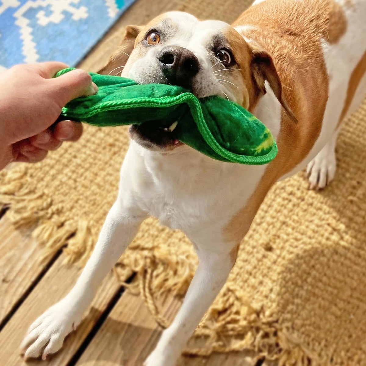 Doggijuana Refillable Premium Organic USA Catnip Dog Toy Naturally Calming - Hooves and Paws