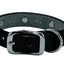 Weaver Leather Pet Spike Collar - Black English Bridle Leather, Doubled and Stitched with Nickel-Plated Spikes