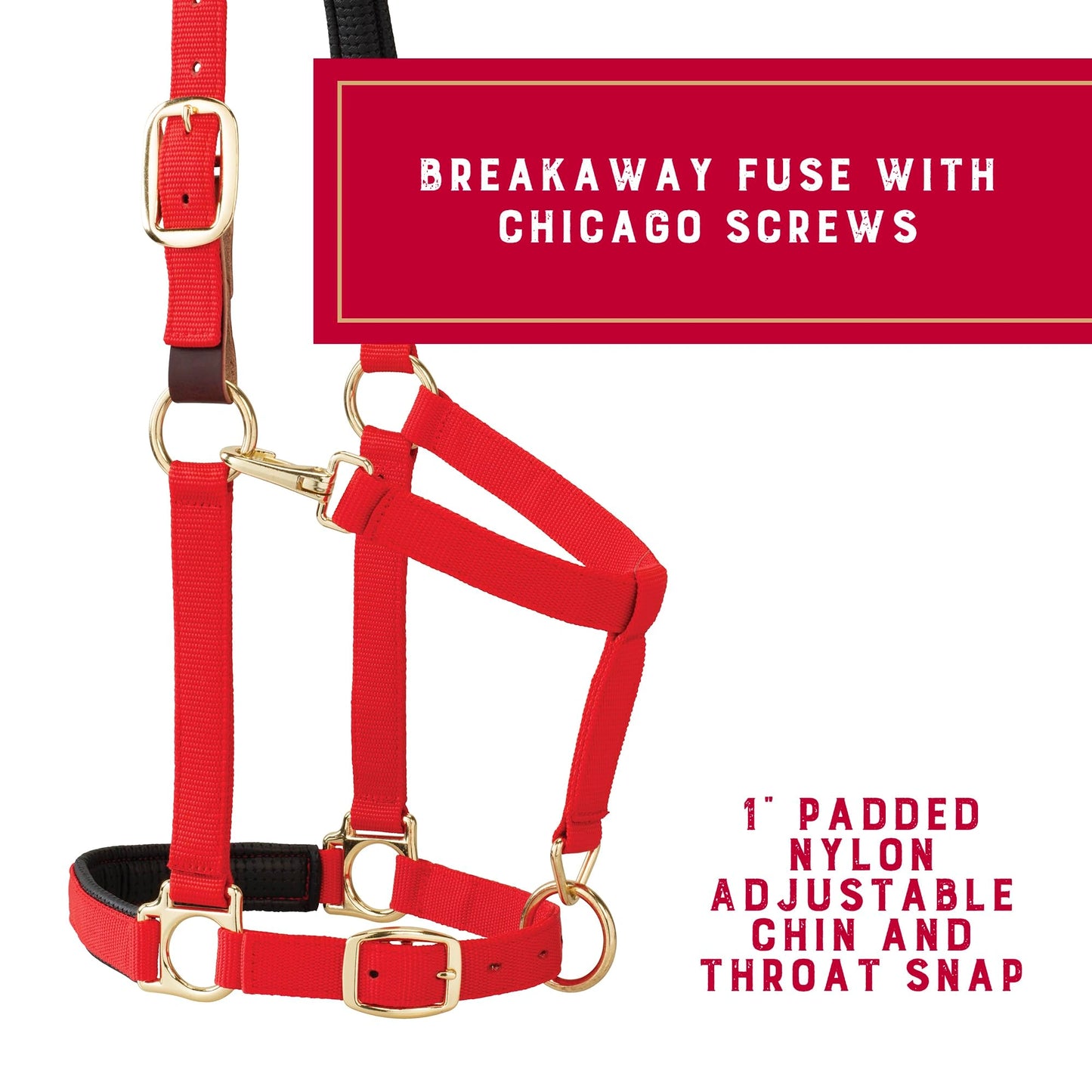 Weaver Leather Breakaway Halter - Padded Crown Safety Release