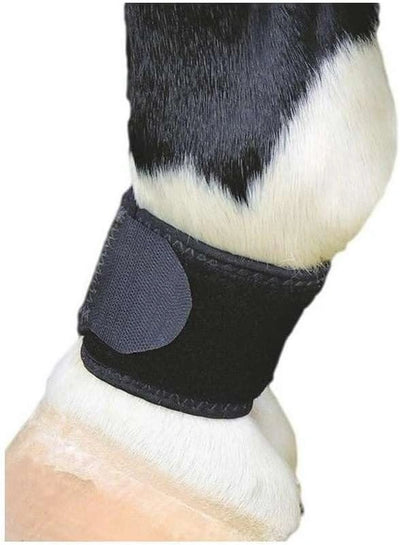 Professional's Choice Ventech Pastern Wrap, Color: Black, Size: Universal (VPW-BLA)