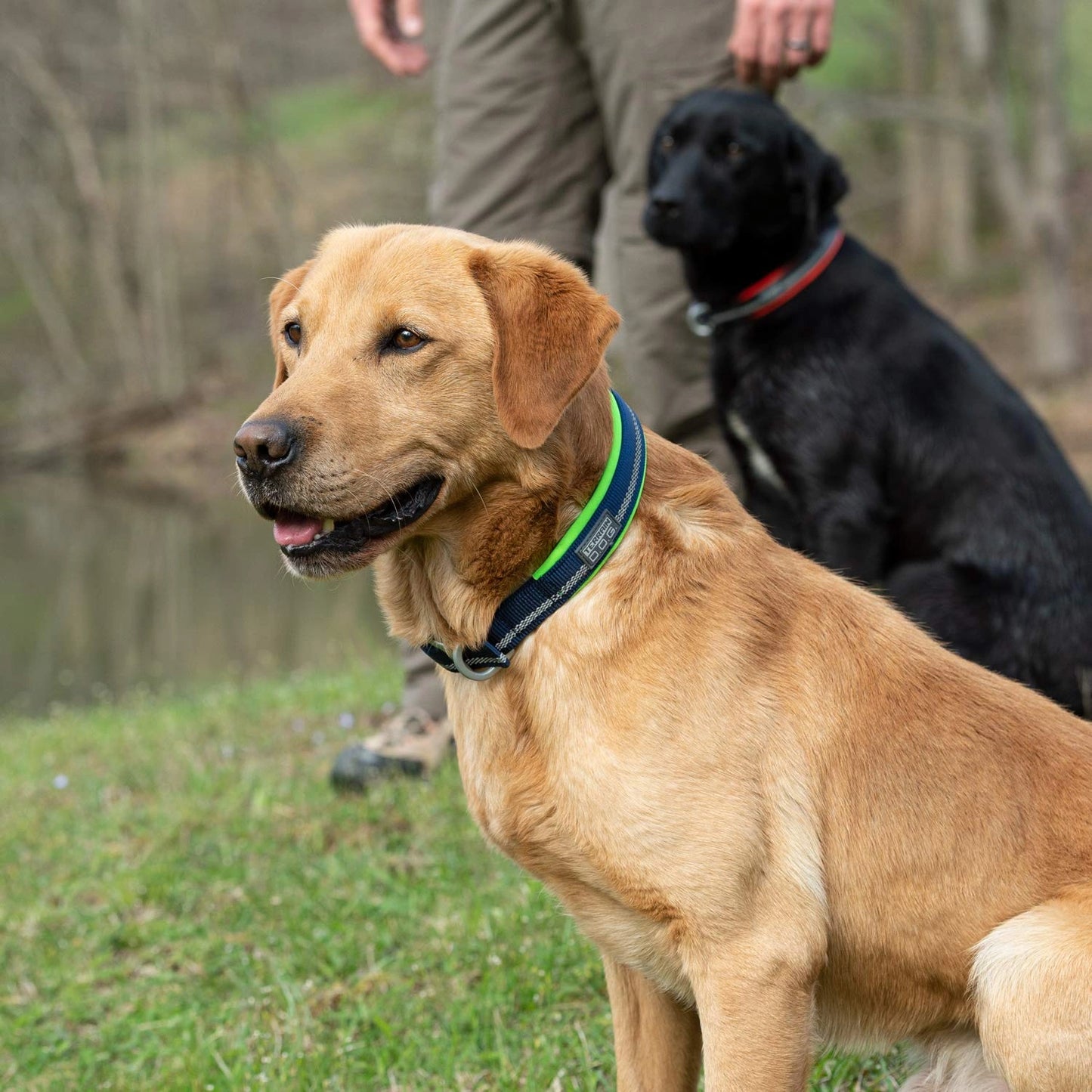 Weaver Leather Reflective Neoprene Lined Dog Collar (Sell out) - Hooves and Paws
