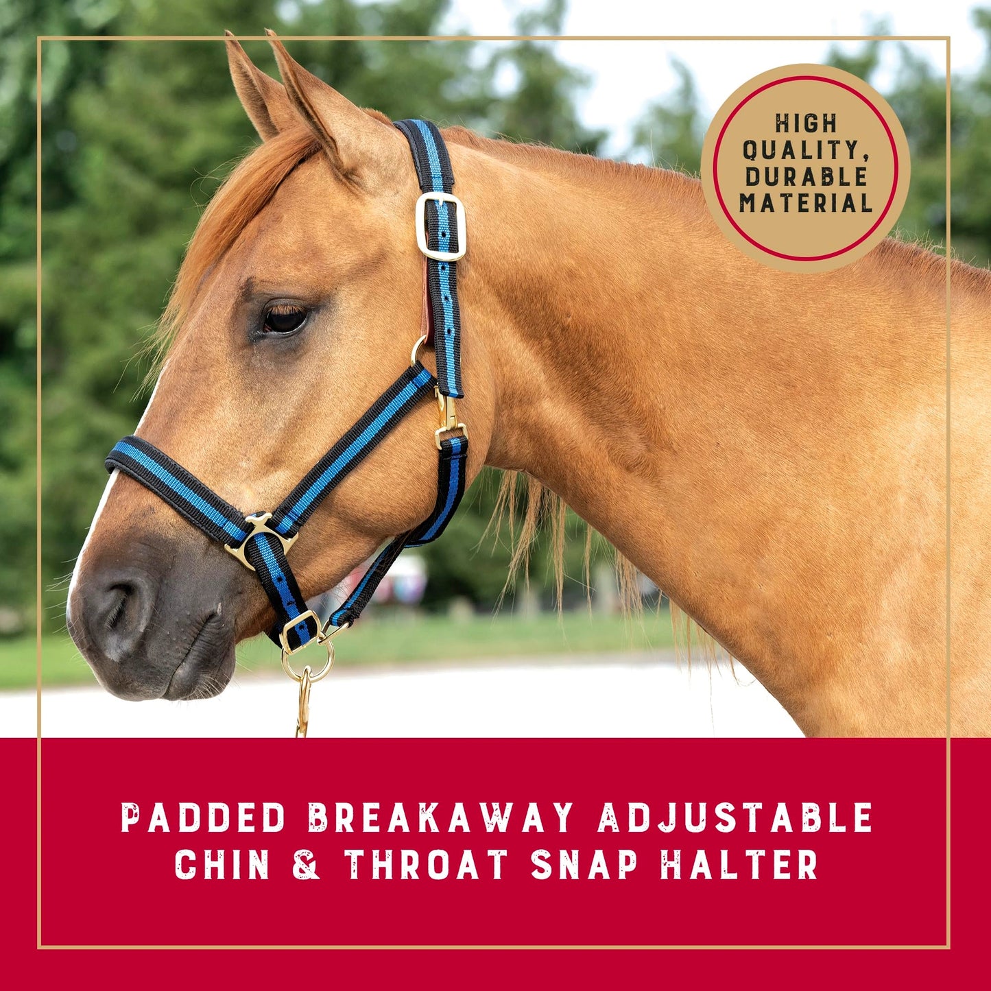Weaver Leather Breakaway Halter - Padded Crown Safety Release