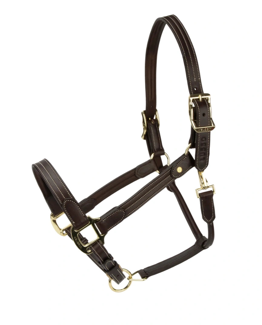 Velociti Lusso Girona Leather Headcollar