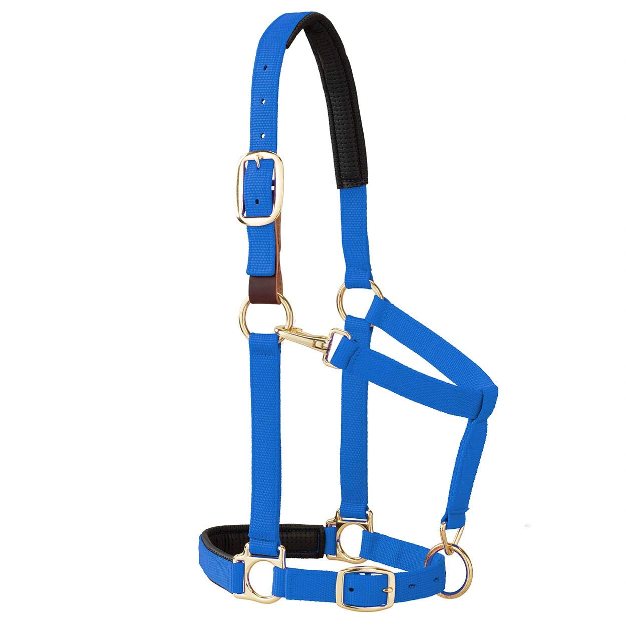 Weaver Leather Breakaway Halter - Padded Crown Safety Release