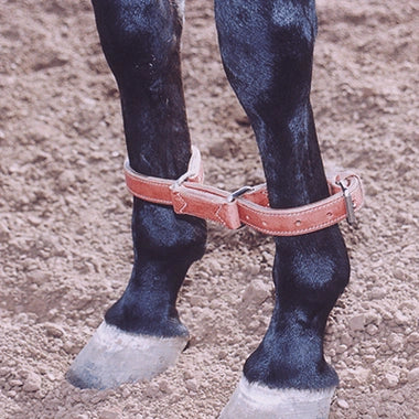 Martin Saddlery Harness Hobbles - Hooves and Paws