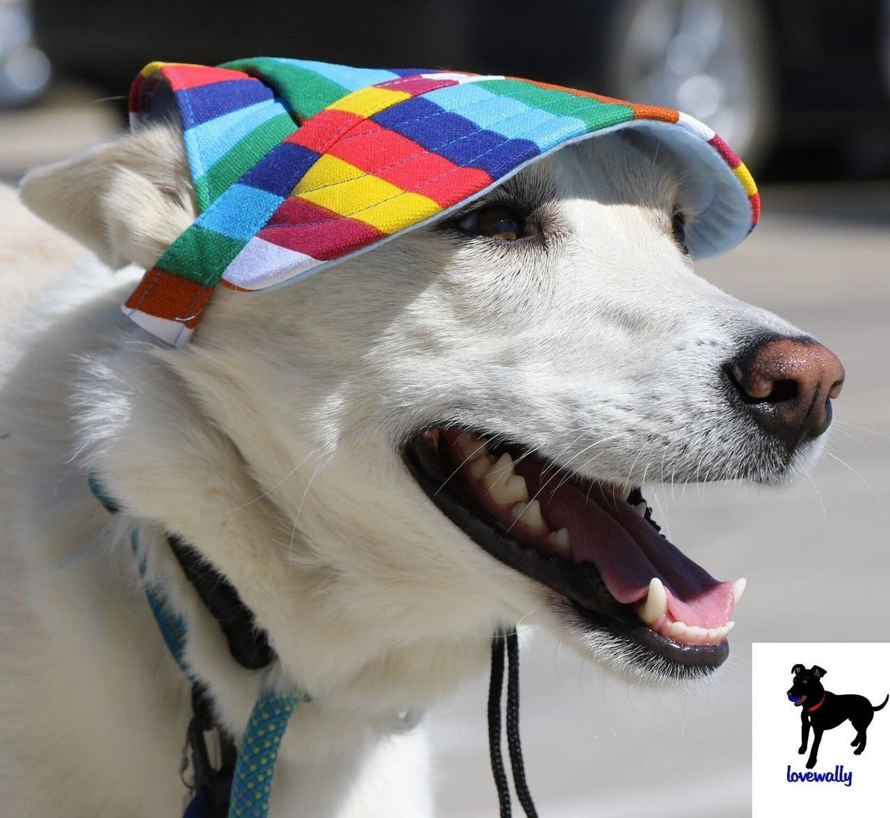 Dog Outdoor Adventure Gear Embroidered Pet Hat LoveWally Adjustable - Hooves and Paws