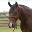 Professional's Choice Equisential Rope Halter with 8' Matching Lead - Durable Nylon Horse Halter