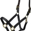 ARMA Shires Nylon Halter with Breakaway Leather Head Strap 90027 - Hooves and Paws