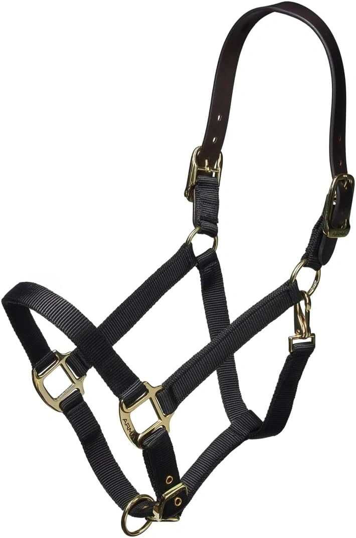 ARMA Shires Nylon Halter with Breakaway Leather Head Strap 90027 - Hooves and Paws