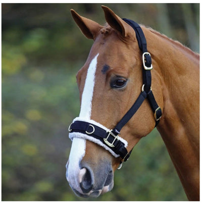 Shires Fleece Lined Lunge Cavesson - Comfortable Horse Training Cavesson (Sell out)