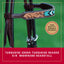 Weaver Leather Turquoise Diamond Beaded Headstall - Dark Oil