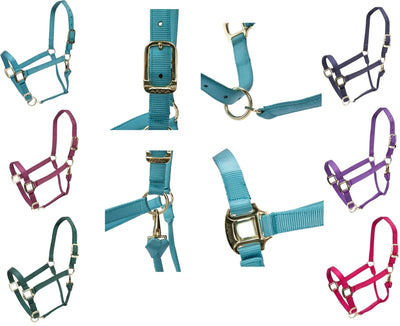 Shires ARMA Adjustable Horse Nylon Halter 10574 - Hooves and Paws