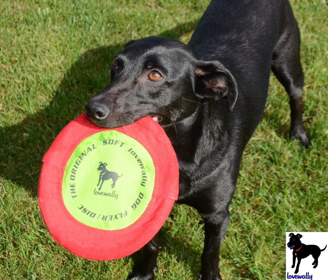 LoveWally The Original Soft Bite Floppy Disc Flyer Outdoor Adventure Gear Dog Toy - Hooves and Paws