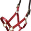 ARMA Shires Nylon Halter with Breakaway Leather Head Strap 90027 - Hooves and Paws