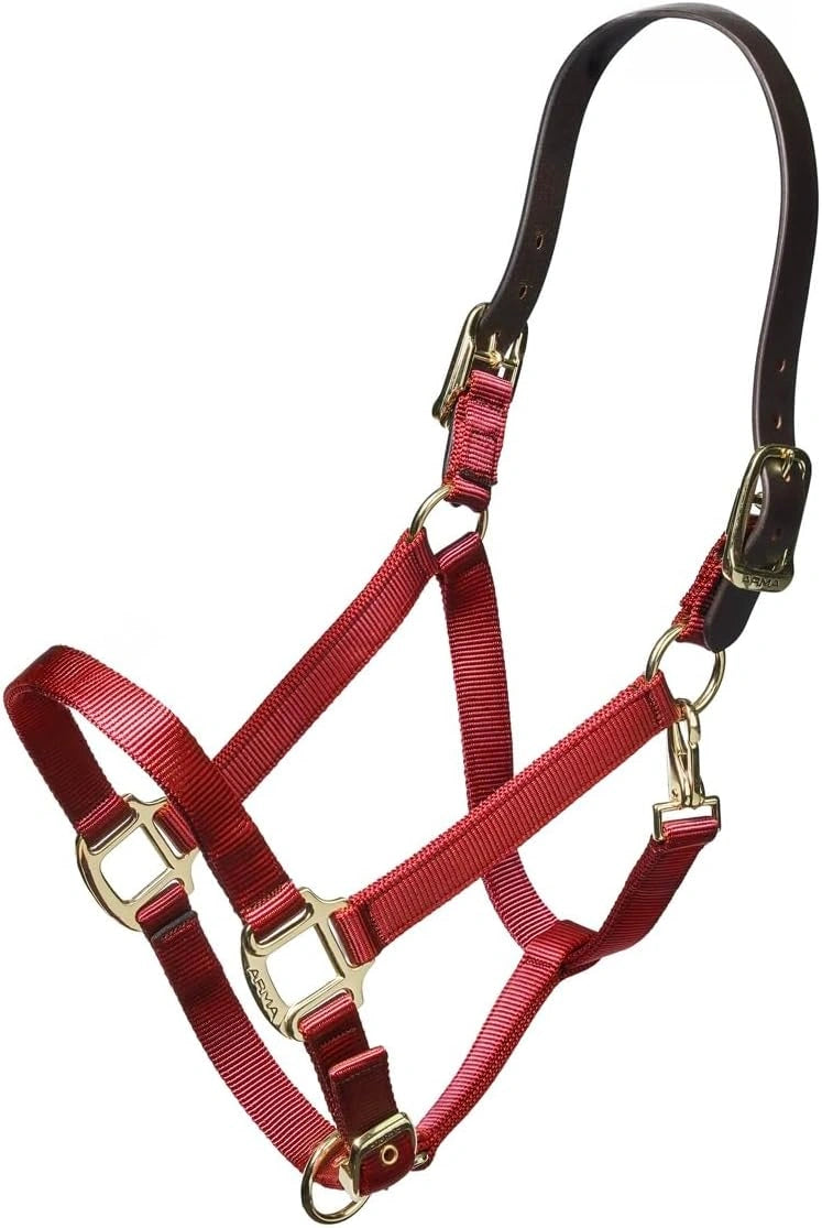 ARMA Shires Nylon Halter with Breakaway Leather Head Strap 90027 - Hooves and Paws