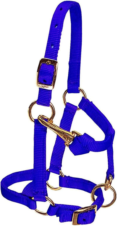 Weaver Equine Miniature Horse Adjustable Halter | 5/8" Nylon with Throat Snap