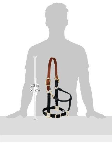 Weaver Leather Breakaway Nylon Halter – Replaceable Crown