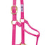 Weaver Equine Horse Halter: Comfort, Durability & Perfect Fit for Your Horse