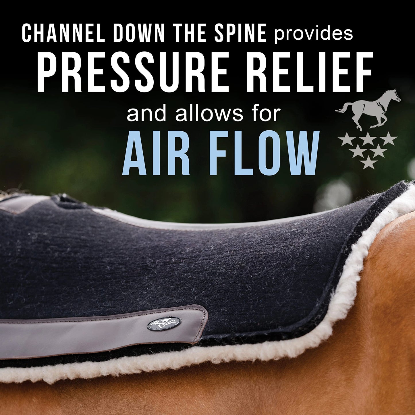 Professional's Choice 100% Wool Felt Contoured Saddle Pad - Pressure Relief & Comfort