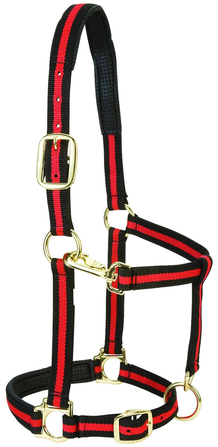 Weaver Equine Horse Halter: Comfort, Durability & Perfect Fit for Your Horse