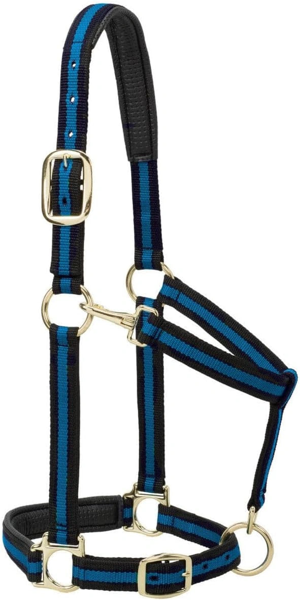 Weaver Leather Padded Nylon Halter – Triple-Adjust Comfort Fit
