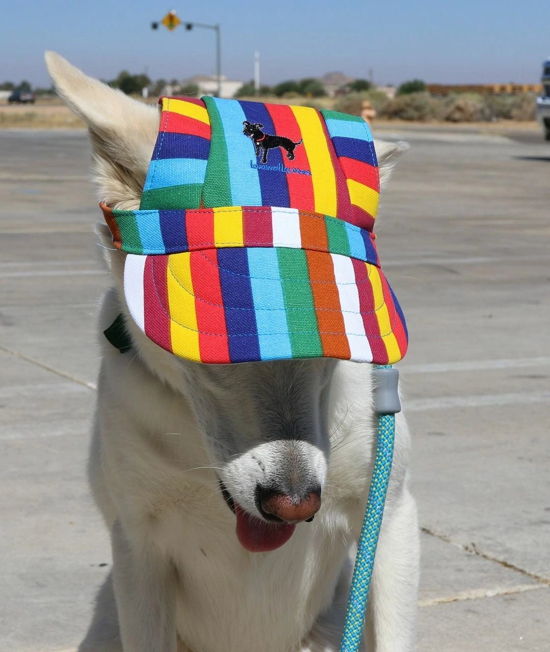 Dog Outdoor Adventure Gear Embroidered Pet Hat LoveWally Adjustable - Hooves and Paws