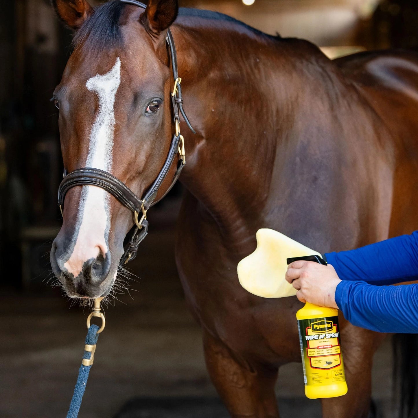Pyranha Wipe N' Spray – Oil-Based Sweat-Resistant Fly Control