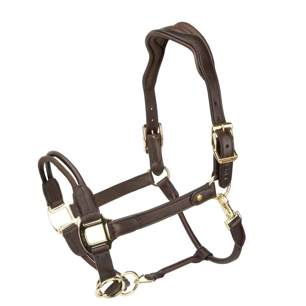 Velociti Lusso Soria Control Leather Headcollar