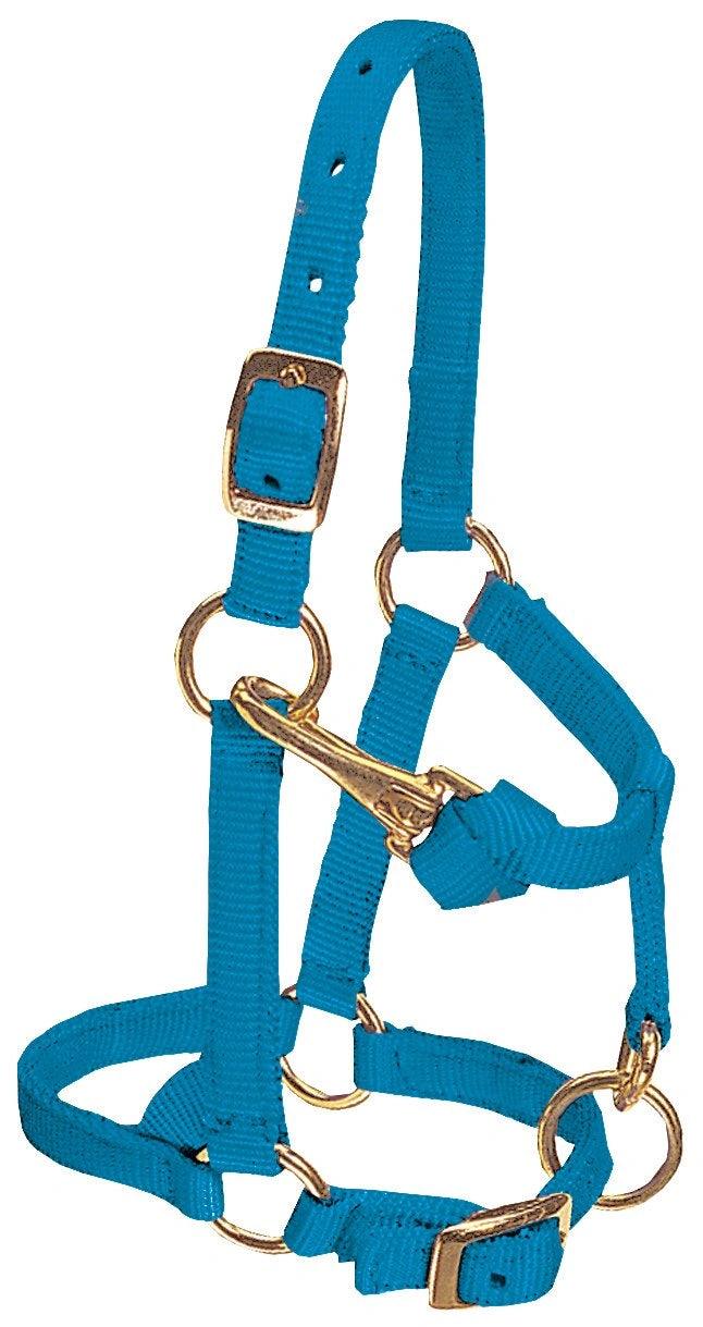 Weaver Leather Horse Halter: Adjustable Nylon for Comfort & Durability
