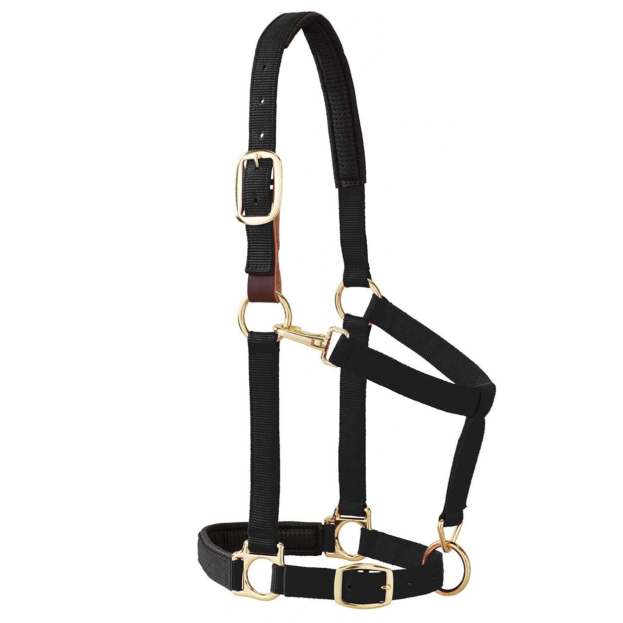 Weaver Leather Breakaway Halter - Padded Crown Safety Release