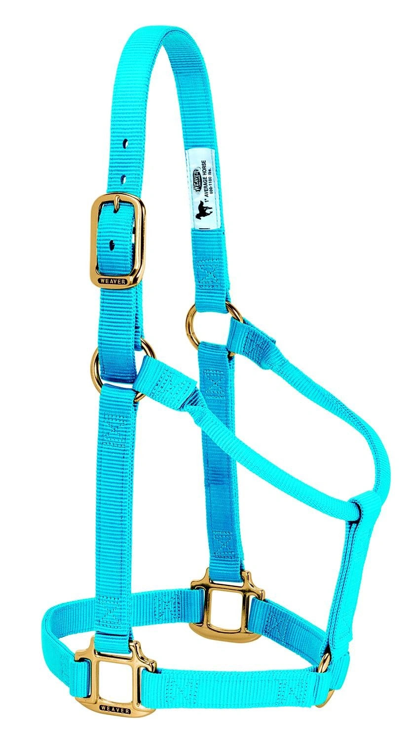 Weaver Equine Horse Halter: Comfort, Durability & Perfect Fit for Your Horse