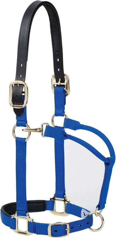 Weaver Leather Nylon Padded Breakaway Large Blue Halter (Sell out)