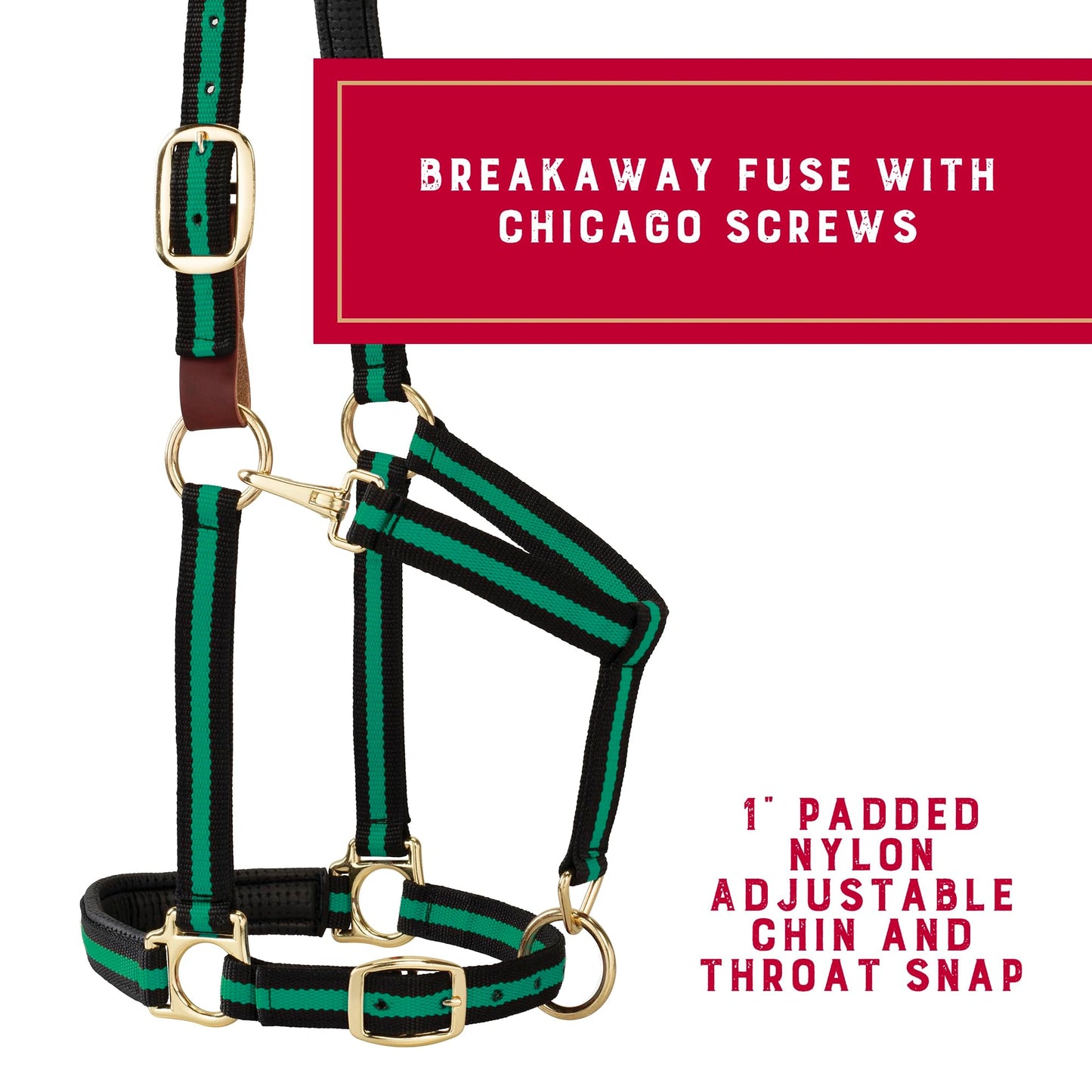 Weaver Leather Breakaway Halter - Padded Crown Safety Release