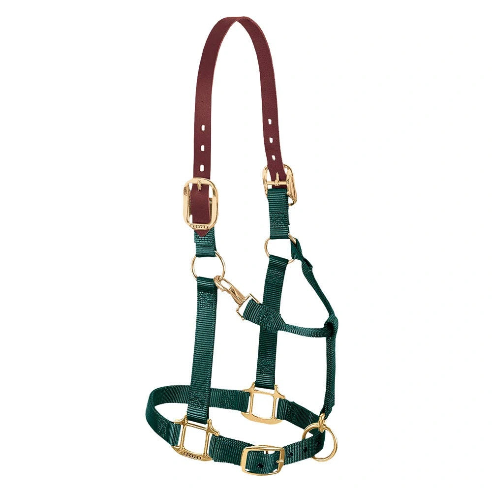 Weaver Leather Breakaway Nylon Halter – Replaceable Crown