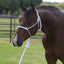 Professional's Choice Rope Halter with 10' Lead - Training