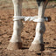 Martin Saddlery Classic Button Rope Hobble - Hooves and Paws