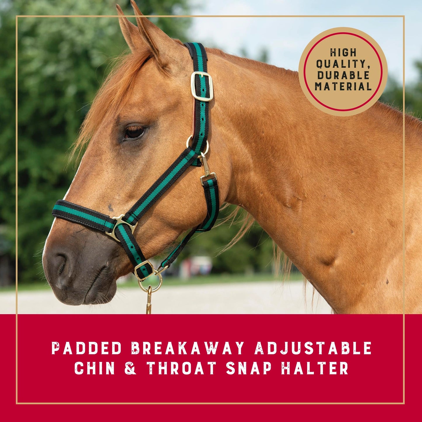 Weaver Leather Breakaway Halter - Padded Crown Safety Release
