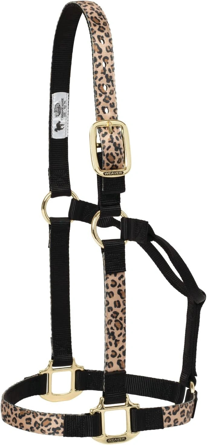 Weaver Leather Double-Ply Nylon Halter - Rolled Throat & Brass Hardware