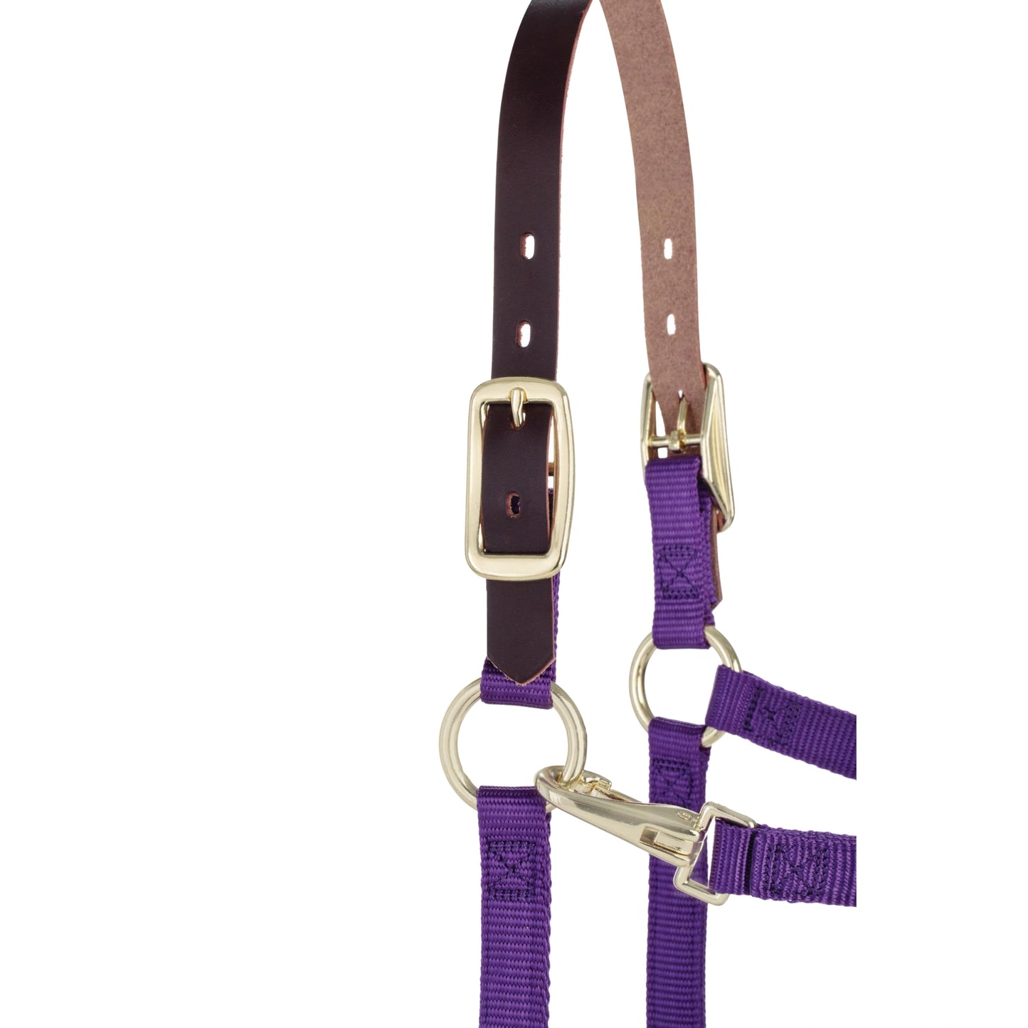 Weaver Leather Breakaway Nylon Halter – Replaceable Crown